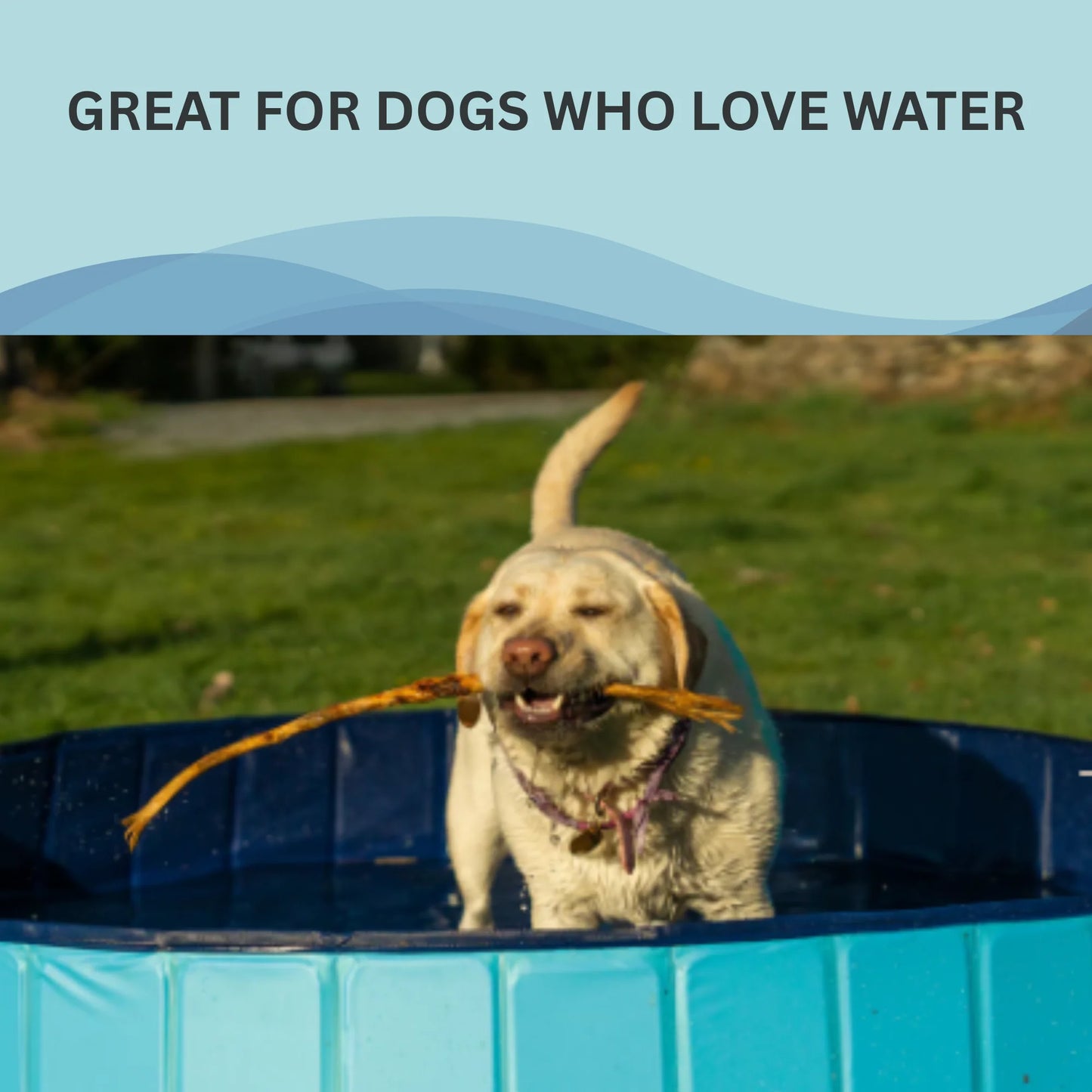 Hign-concerned SummerPawz Foldable Portable Dog Pool